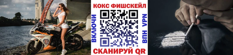 купить   Берёзовка  COCAIN Fish Scale 