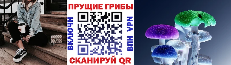 наркотики  Берёзовка  Псилоцибиновые грибы Cubensis 